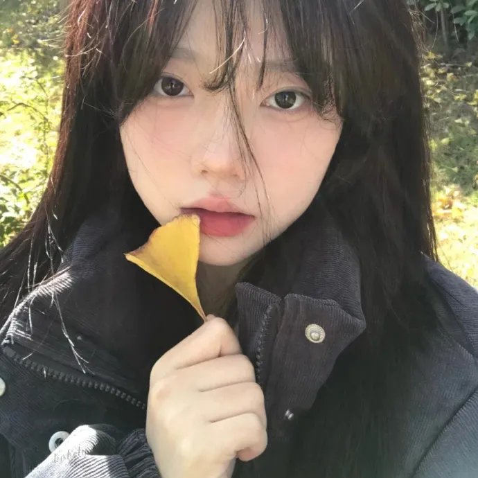 我为假日狂